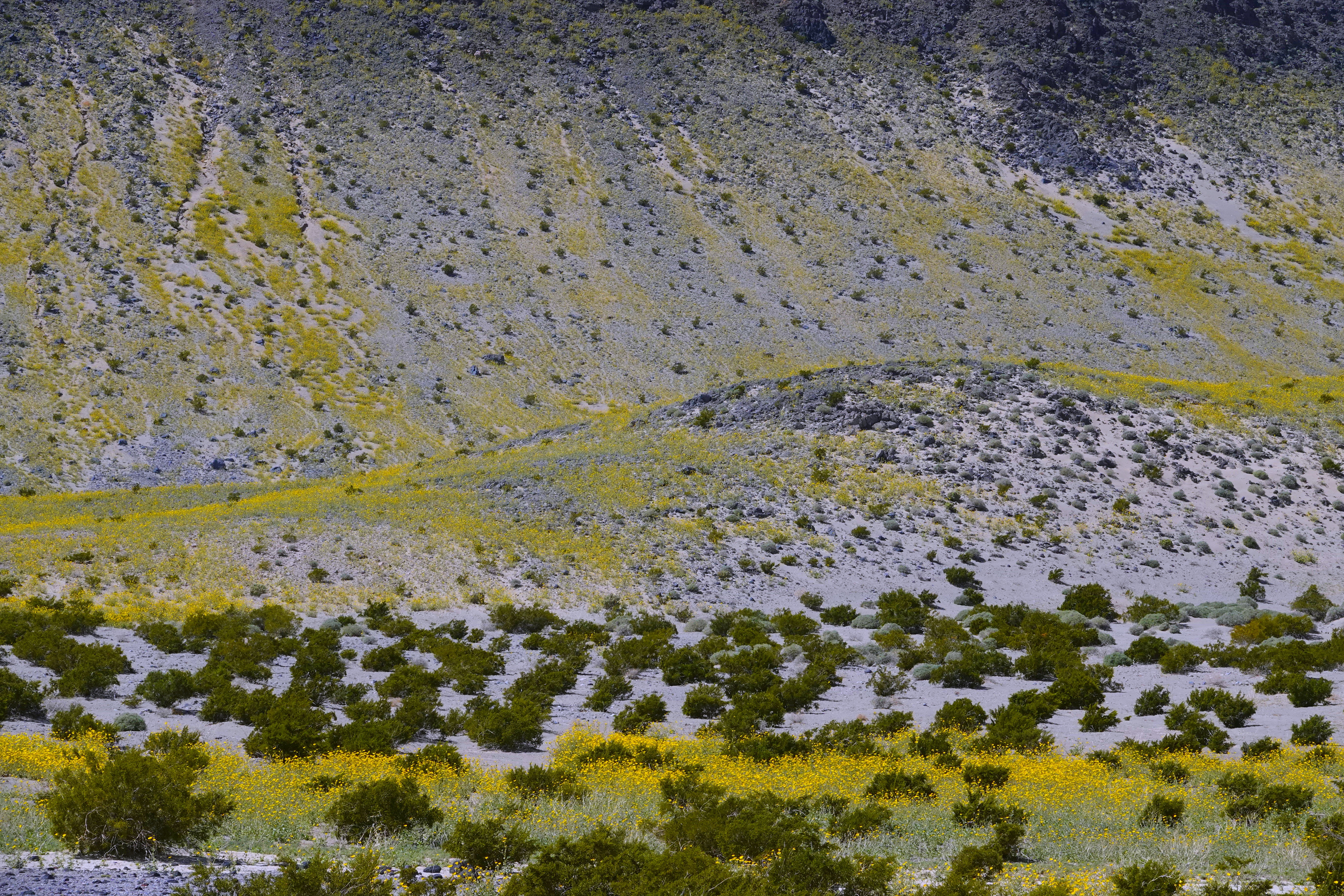 Ciel d'orage sur Carrizo Plain